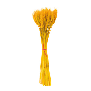Fagot de blé environ 100 pailles en matière naturelle Color: jaune Size: 50cm