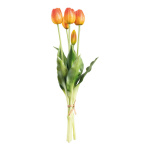 Bouquet de tulipes 5-fois, en plastique/soie...