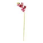 Orchid with 5 flowers & buds, out of artificial...
