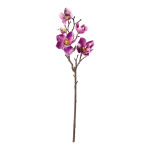 Branche de magnolia avec 6 fleurs &2 bourgeons, en...