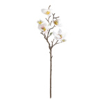 Magnolia spray with 5 flowers & 2 buds, out of...