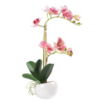 Orchid in pot out of artificial silk/plastic, pot out of...