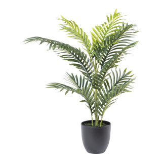 Areca Palme 12 PE Blätter, aus Kunststoff/Kunstseide     Groesse: 75cm, Topf: Ø 16cm    Farbe: grün