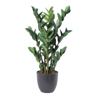 Zamioculcas zamiifolia Pflanze 84 Blätter, aus Kunststoff/Kunstseide     Groesse: 70cm, Topf: Ø 17,5cm    Farbe: grün