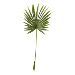 Fan palm leaf out of plastic     Size: 100x40cm, stem:...