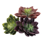 Succulents 3 in set, out of plastic, assorted     Size:...