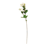 Jasmine flower on stem out of artificial silk/ plastic,...