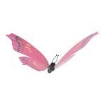 Butterfly out of plastic, with hanger     Size: 21x30cm...
