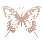Butterfly out of plywood, with hanger     Size: 50x40cm,...