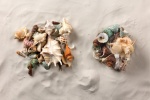 Shells in net assorted     Size: 500g, 3-13cm    Color:...