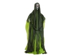 EUROPALMS Halloween Figure Skeleton with green cape,...