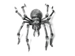 EUROPALMS Halloween Monster Spider ca. 130cm