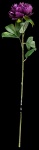Peony with stem out of plastic/artificial silk     Size:...