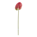 Fleur flamant rose en plastique, flexible     Taille:...