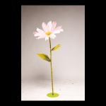 Cosmea fleur en papier, avec tige courte     Taille:...