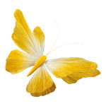 Papillon avec clip en papier, flexible     Taille: 60cm...
