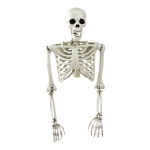 Skelett, Torso aus Kunststoff, mit Hänger,...