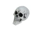 EUROPALMS Halloween Skull, 3x