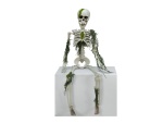 EUROPALMS Halloween Skelteton with Moss, 40cm