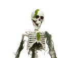 EUROPALMS Halloween Skelteton with Moss, 40cm