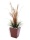 EUROPALMS River Grass September, artificial, 175cm