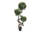 EUROPALMS Ficus spiral trunk, artificial plant, 160cm