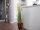 EUROPALMS Allium Grass, artificial, 122cm