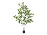 EUROPALMS Birch Tree, artificial plant, 150cm