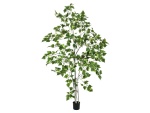 EUROPALMS Birch Tree, artificial plant, 180cm