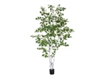 EUROPALMS Birch Tree, artificial plant, 210cm