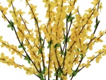 EUROPALMS Forsythienbusch, künstlich, 60cm