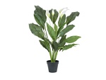 EUROPALMS Spathiphyllum deluxe, künstlich, 83cm