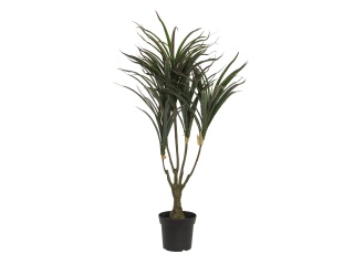 EUROPALMS Dracena, künstlich, grün-rot,  90cm