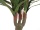 EUROPALMS Dracena, artificial, 120cm