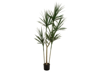 EUROPALMS Dracaena, artificial plant, green, 170cm