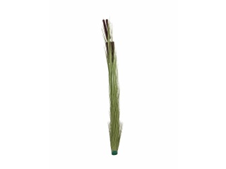 EUROPALMS Reed grass with cattails,light green, artificial, 152cm