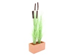 EUROPALMS Reed grass with cattails,light green, artificial, 152cm