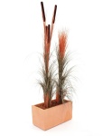 EUROPALMS Reed grass with cattails, light-brown, artificial, 152cm