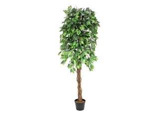 EUROPALMS Ficus-Benjamini Multi-Stamm, Kunstpflanze, 180cm