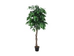 EUROPALMS Dschungelbaum Mango, Kunstpflanze, 180cm