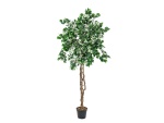 EUROPALMS Bougainvillea, artificial plant, white, 150cm