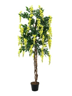 EUROPALMS Goldregenbaum, Kunstpflanze, gelb, 180cm