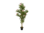 EUROPALMS Oleander Tree, artificial plant, pink, 150 cm