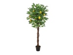 EUROPALMS Lemon Tree, artificial plant, 150cm