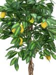 EUROPALMS Lemon Tree, artificial plant, 180cm