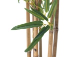 EUROPALMS Bamboo Deluxe, artificial plant, 120cm