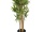 EUROPALMS Bamboo Deluxe, artificial plant, 180cm