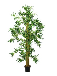 EUROPALMS Bambus Multistamm, Kunstpflanze, 210cm