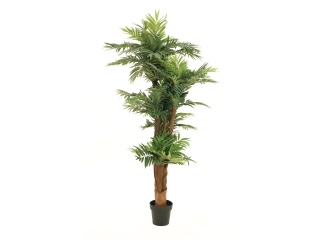 EUROPALMS Areca Palm, artificial plant, 170cm