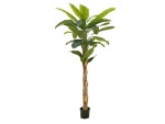 EUROPALMS Banana Tree, artificial plant, 210cm